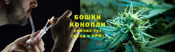 амф Дмитров