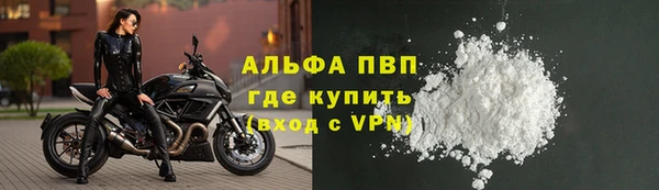 амф Дмитров