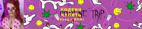 амф Дмитров