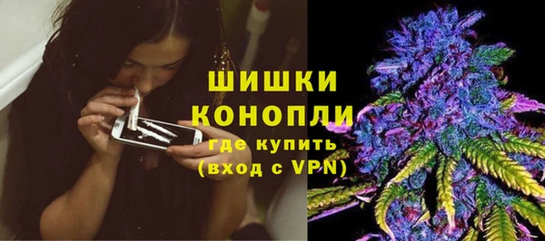 хмурый Дмитриев