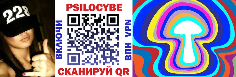 Купить где  Тихвин  Псилоцибиновые грибы Psilocybe 